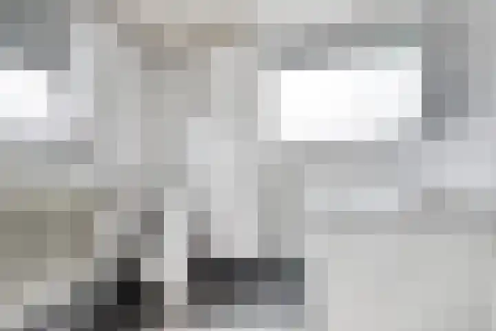 Seislaan 6 Middelburg thumbnail 18