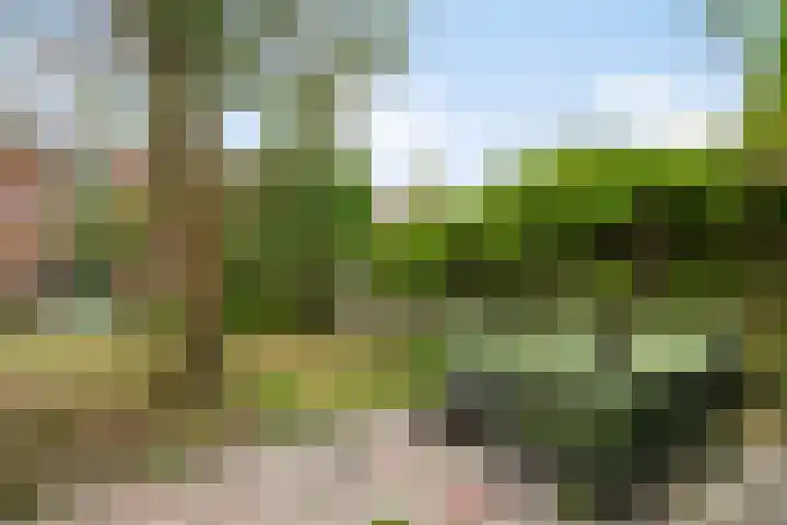 Seislaan 6 Middelburg thumbnail 22