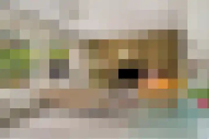 Seislaan 6 Middelburg thumbnail 4