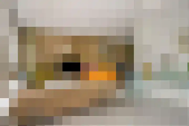 Seislaan 6 Middelburg thumbnail 5