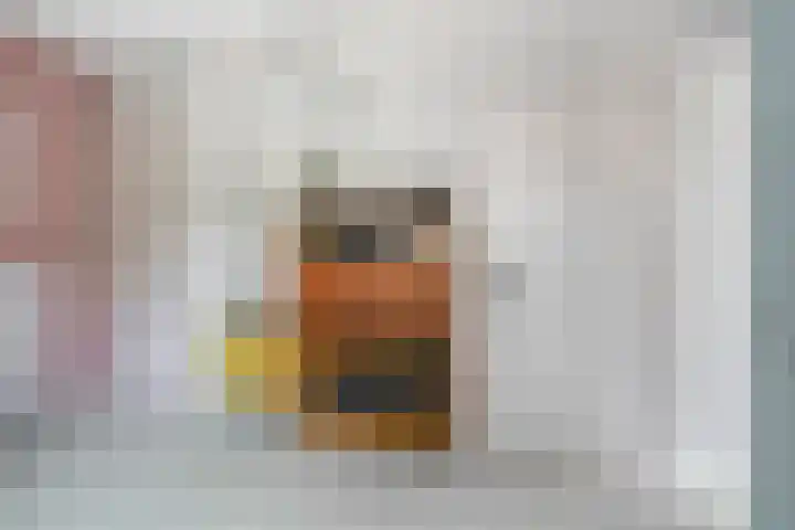 Seislaan 6 Middelburg thumbnail 9