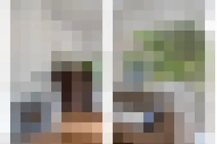 Seissingel 4 A Middelburg thumbnail 14