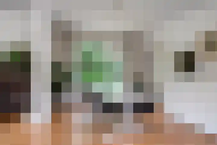 Seissingel 4 A Middelburg thumbnail 17
