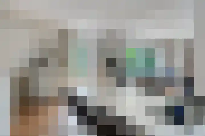 Seissingel 4 A Middelburg thumbnail 19