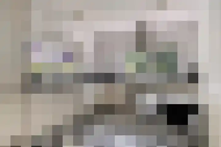 Seissingel 4 A Middelburg thumbnail 22