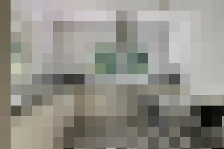 Seissingel 4 A Middelburg thumbnail 23
