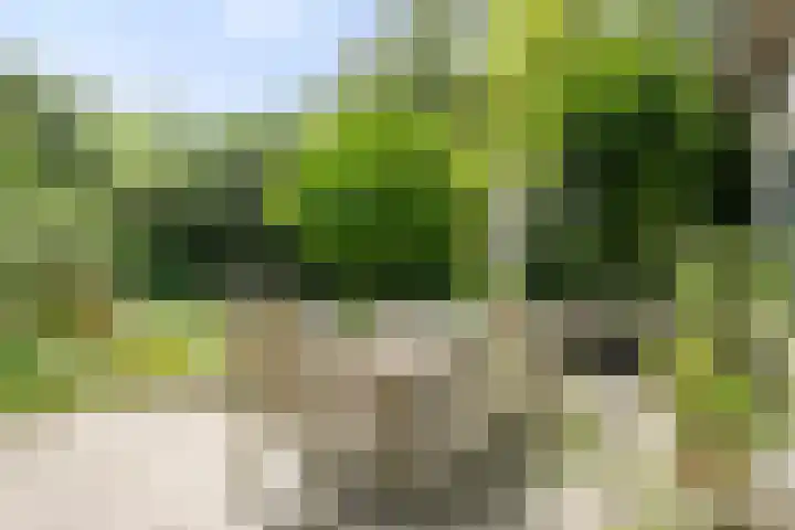 Seissingel 4 A Middelburg thumbnail 4