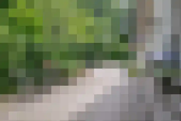 Seissingel 4 A Middelburg thumbnail 47
