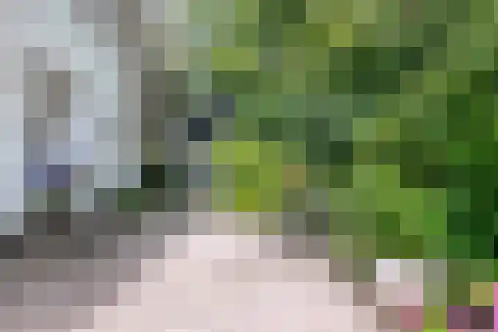 Seissingel 4 A Middelburg thumbnail 48