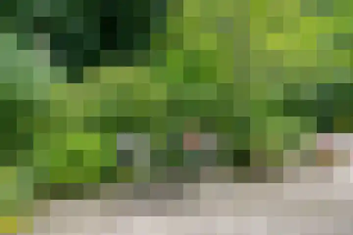 Seissingel 4 A Middelburg thumbnail 49