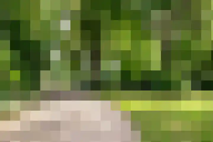 Seissingel 4 A Middelburg thumbnail 51