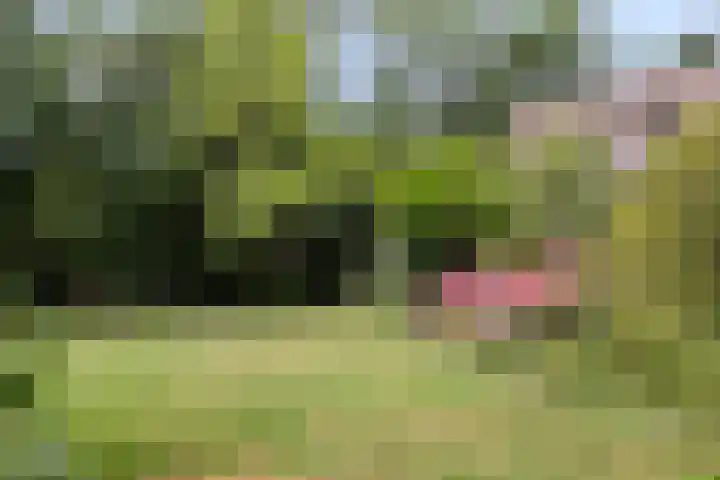 Seissingel 4 A Middelburg thumbnail 52