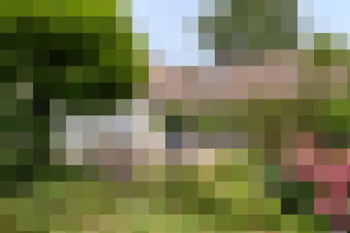 Seissingel 4 A Middelburg thumbnail 54
