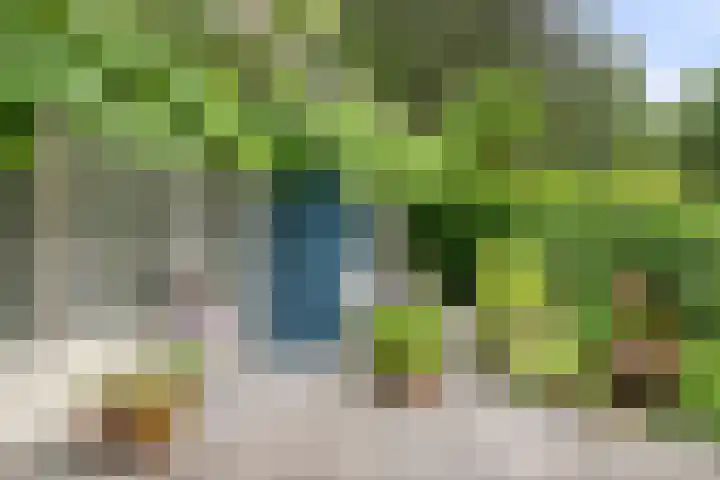 Seissingel 4 A Middelburg thumbnail 57