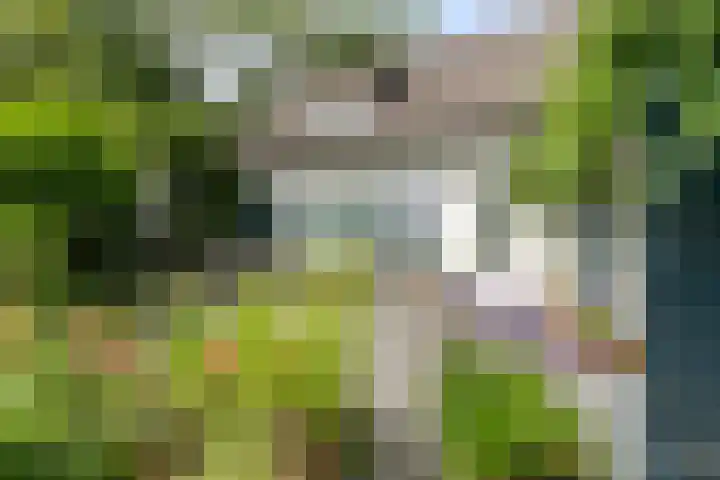 Seissingel 4 A Middelburg thumbnail 58