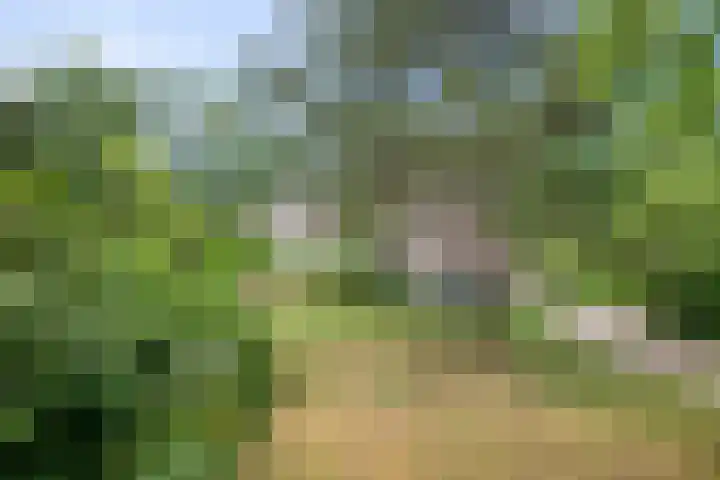 Seissingel 4 A Middelburg thumbnail 6