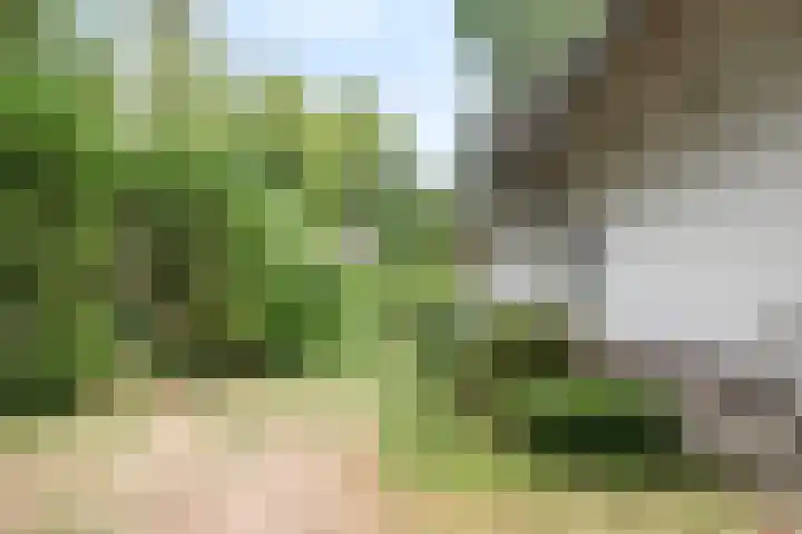 Seissingel 4 A Middelburg thumbnail 61