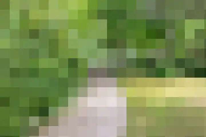 Seissingel 4 A Middelburg thumbnail 62