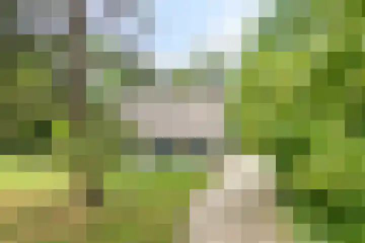 Seissingel 4 A Middelburg thumbnail 63