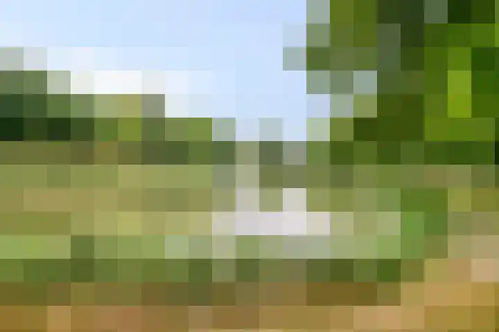 Seissingel 4 A Middelburg thumbnail 64