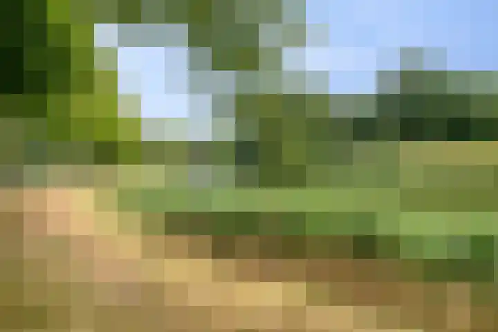 Seissingel 4 A Middelburg thumbnail 65