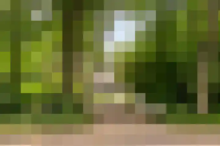 Seissingel 4 A Middelburg thumbnail 66