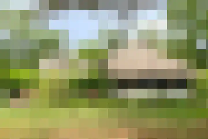 Seissingel 4 A Middelburg thumbnail 7