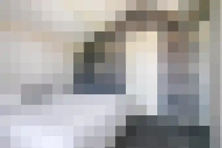 Seissingel 72 Middelburg thumbnail 16