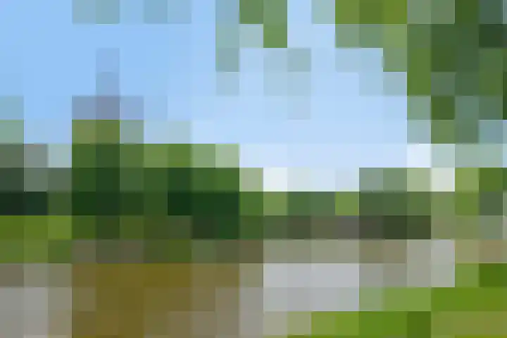 Seissingel 72 Middelburg thumbnail 25