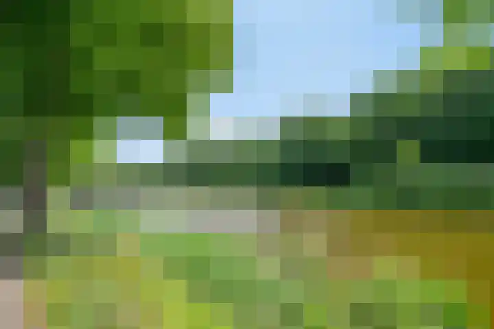 Seissingel 72 Middelburg thumbnail 26