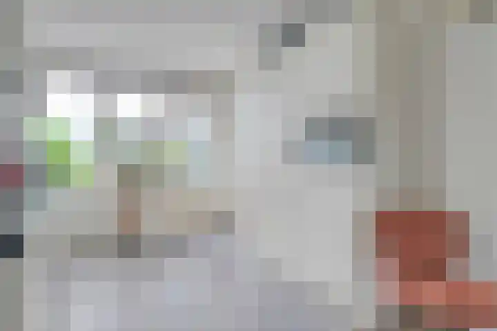 Seissingel 72 Middelburg thumbnail 9