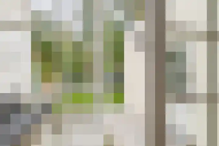 Seisstraat 22 Middelburg thumbnail 12