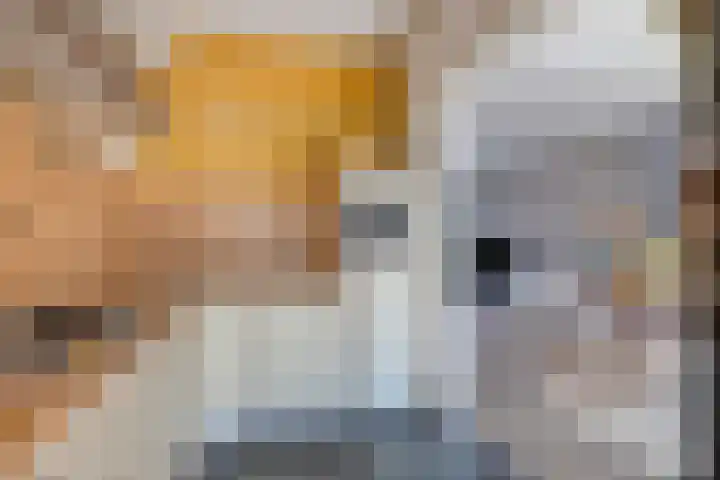 Seisstraat 31 Middelburg thumbnail 7