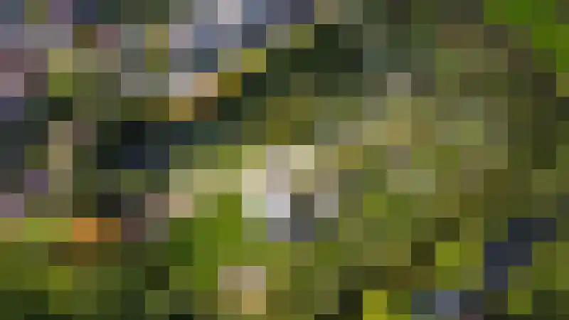 Seisweg 1 Middelburg thumbnail 28