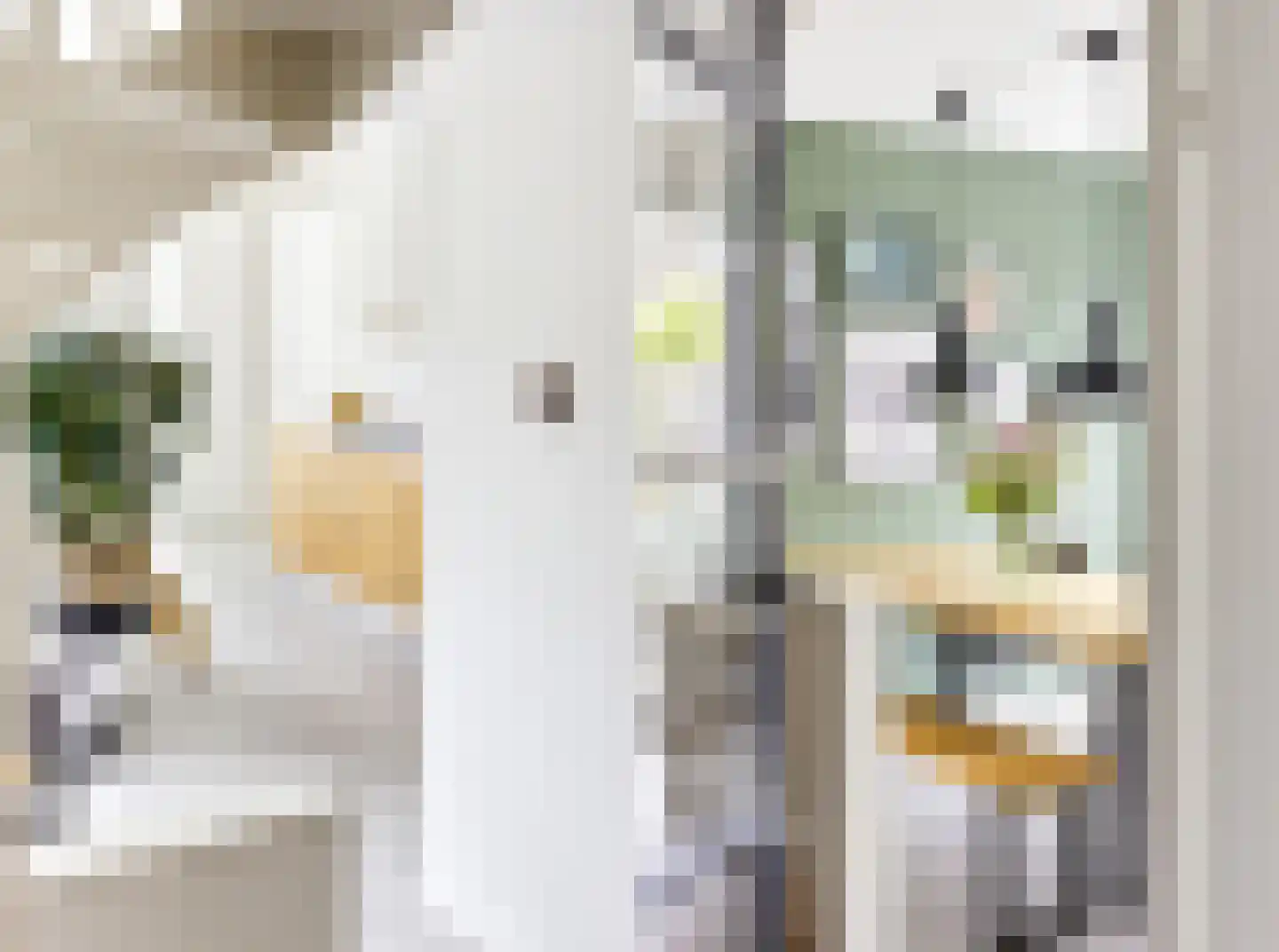 Seisweg 149 Middelburg thumbnail 22