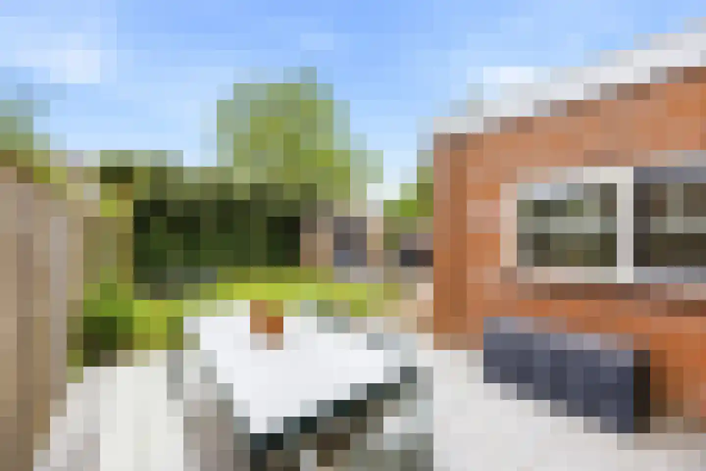 Seisweg 149 Middelburg thumbnail 32