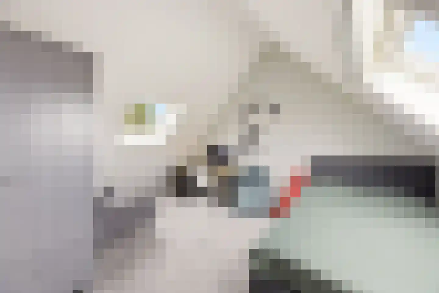 Seisweg 149 Middelburg thumbnail 52