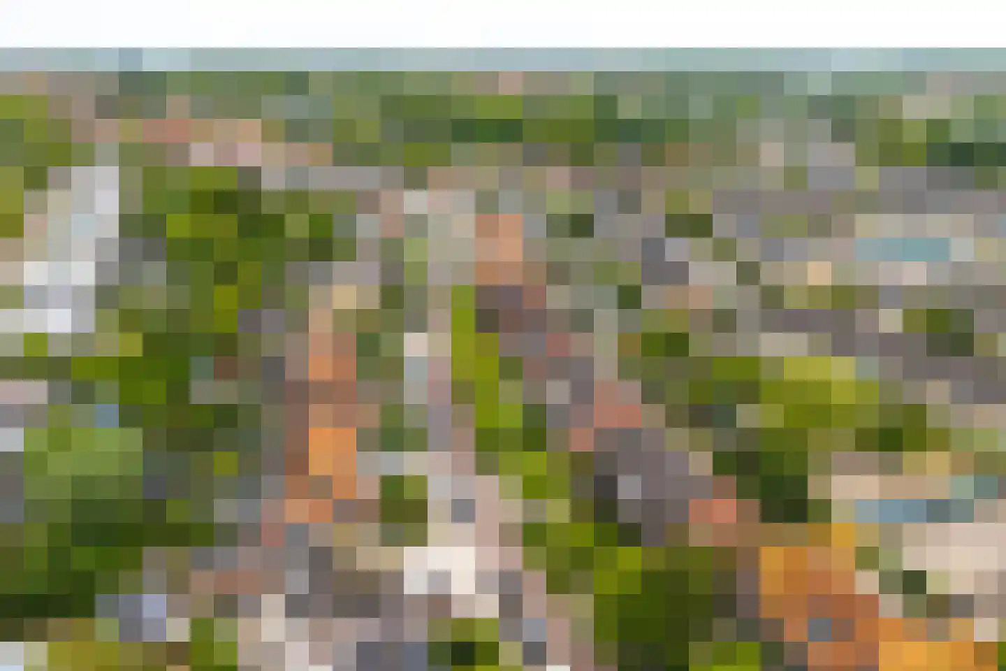 Seisweg 149 Middelburg thumbnail 7