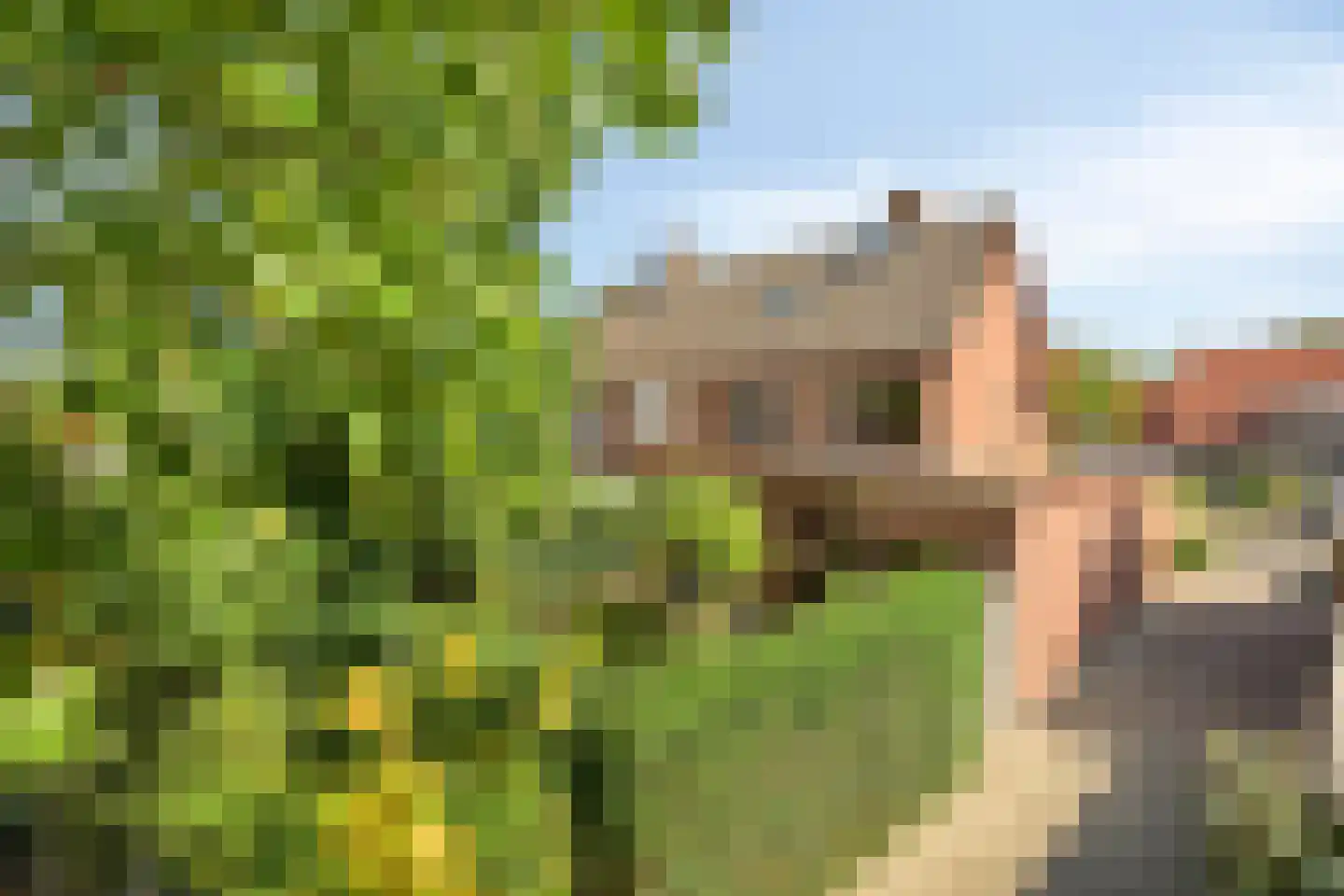 Seisweg 151 Middelburg thumbnail 28
