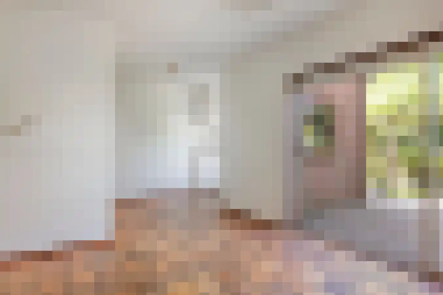Seisweg 151 Middelburg thumbnail 7