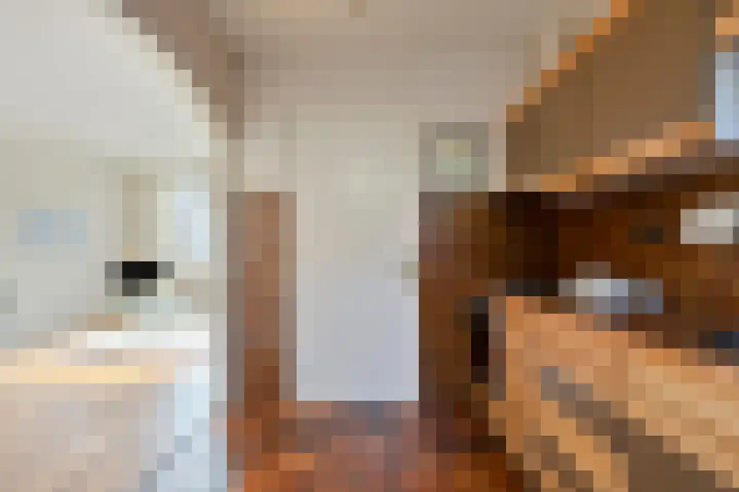 Seisweg 20 A Middelburg thumbnail 11