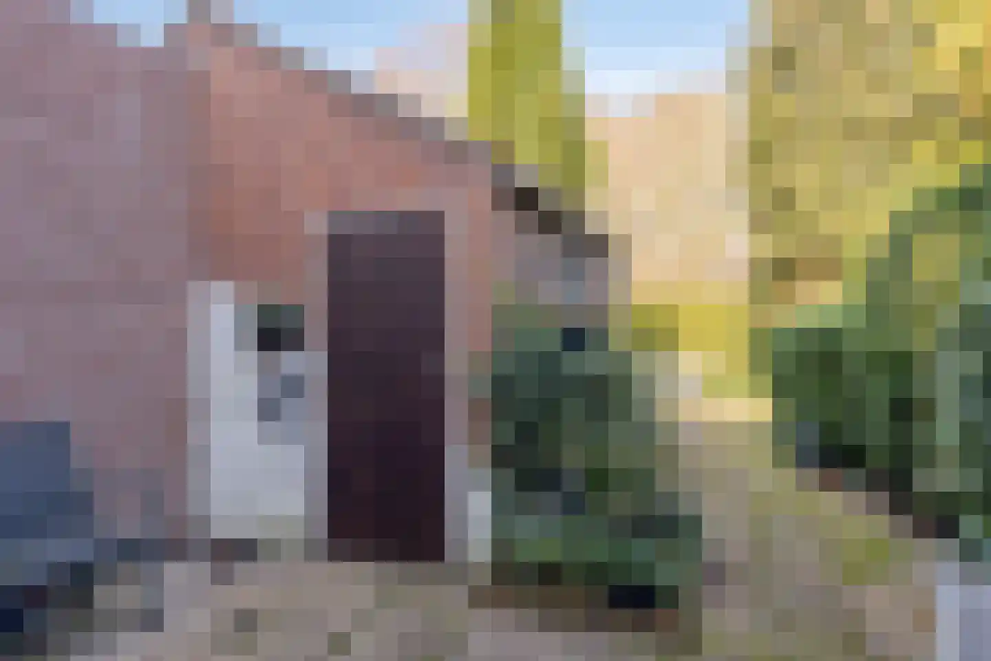 Seisweg 20 A Middelburg thumbnail 25