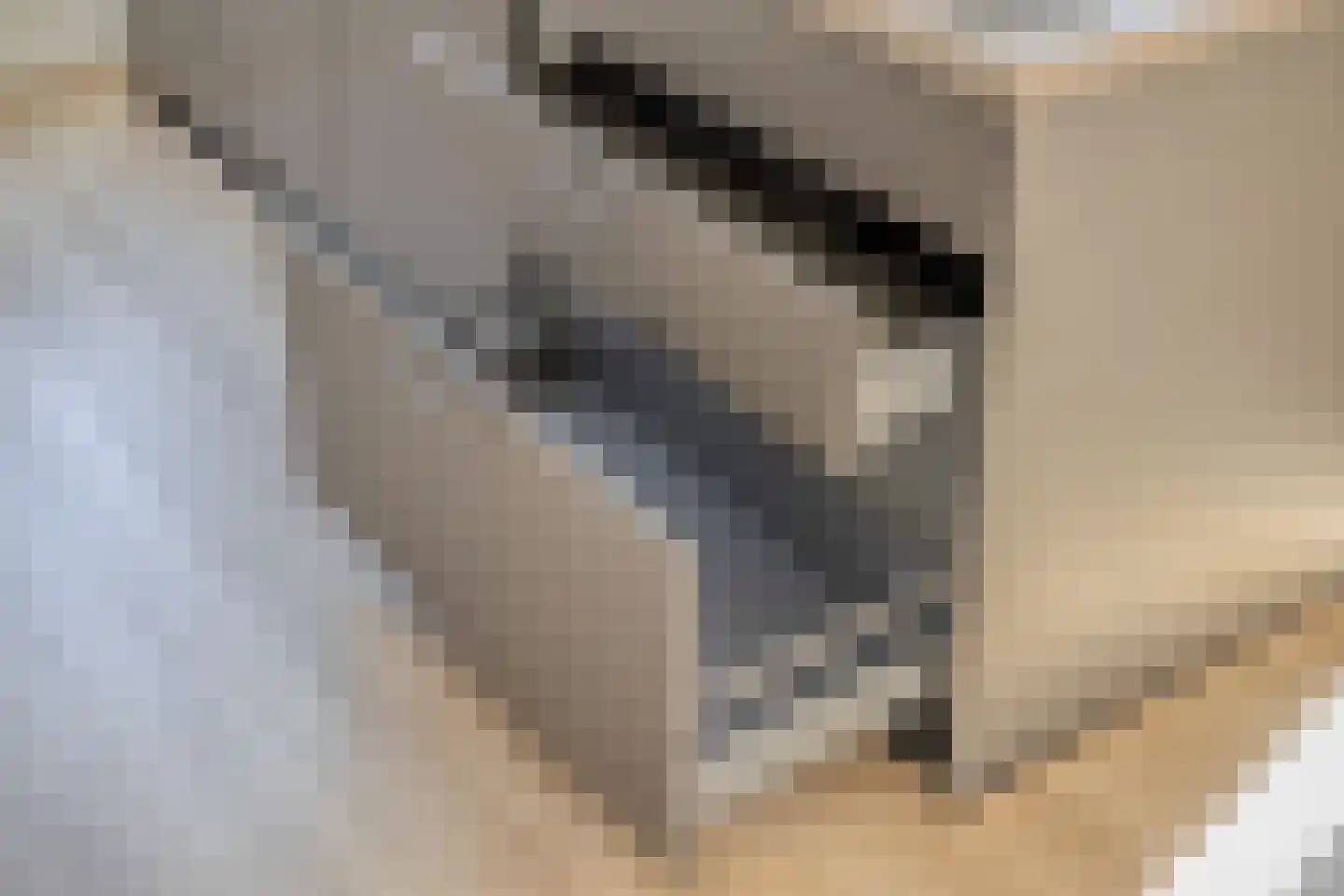 Seisweg 47 Middelburg thumbnail 10