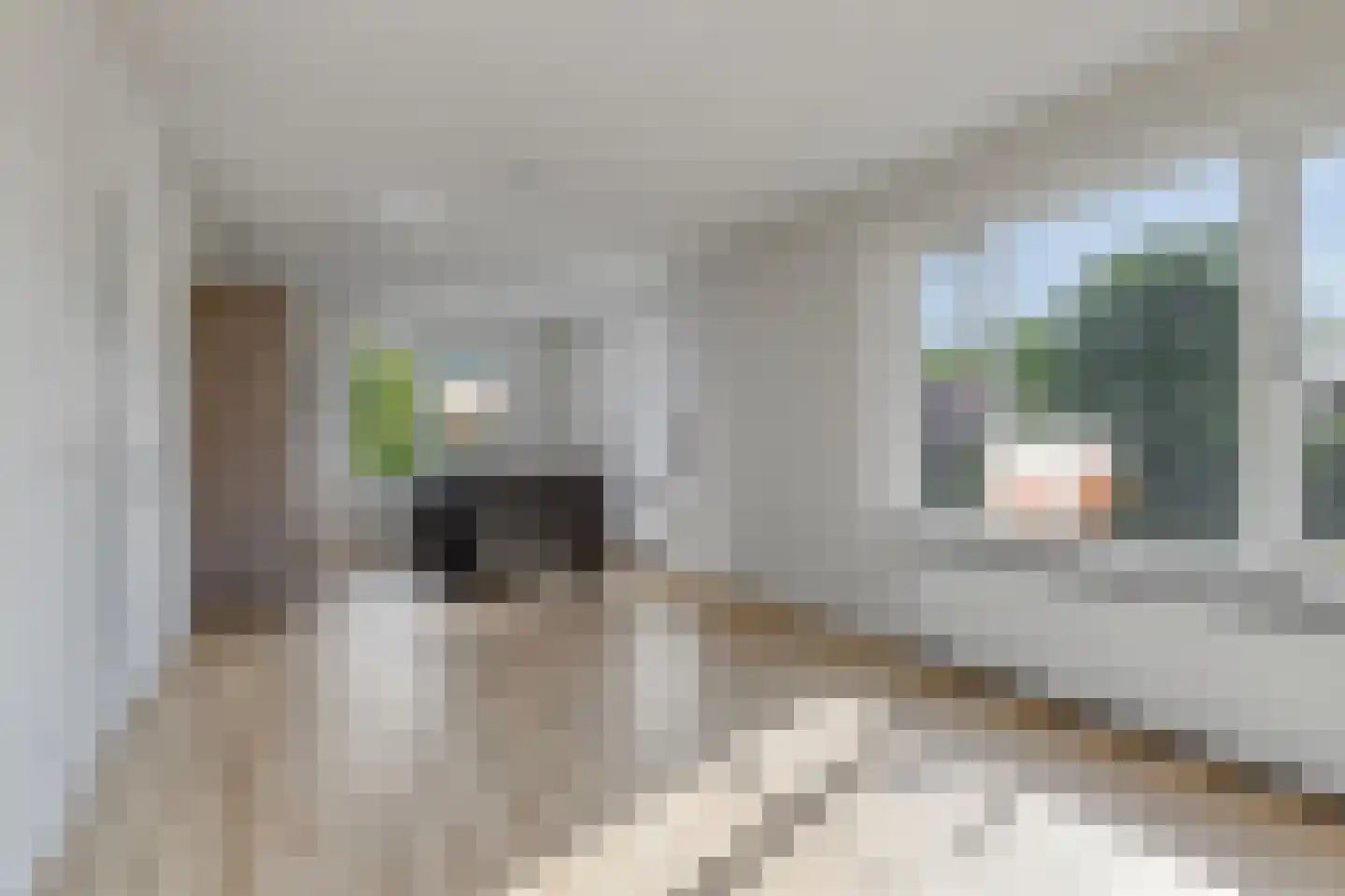 Seisweg 47 Middelburg thumbnail 5