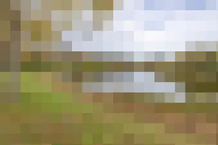 Seisweg 5 Middelburg thumbnail 33