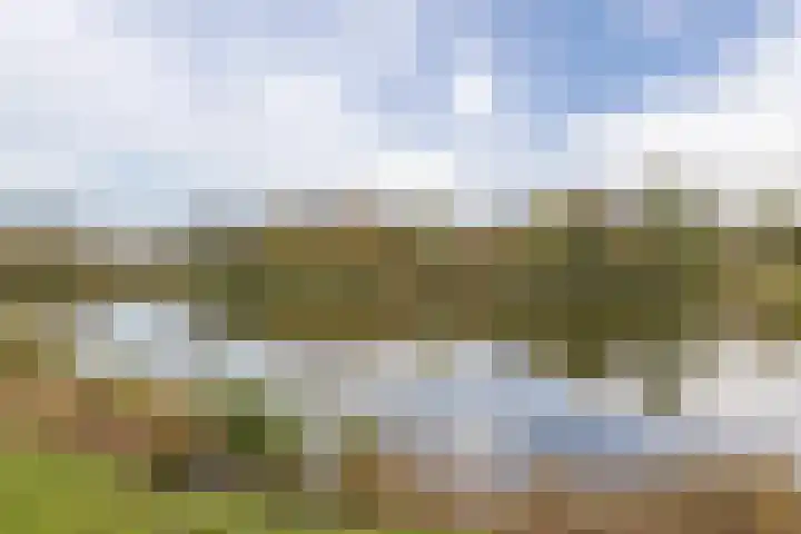 Seisweg 5 Middelburg thumbnail 34