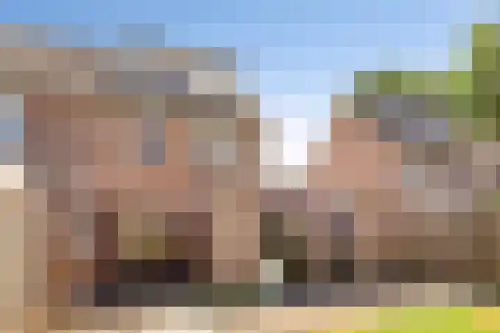 Seitzenhof 4 Nuenen thumbnail 22