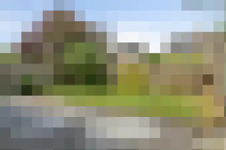 Seitzenhof 4 Nuenen thumbnail 23