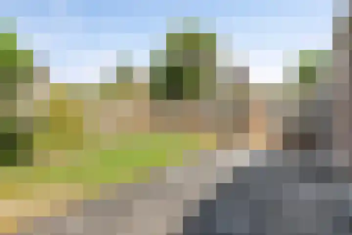 Seitzenhof 4 Nuenen thumbnail 24