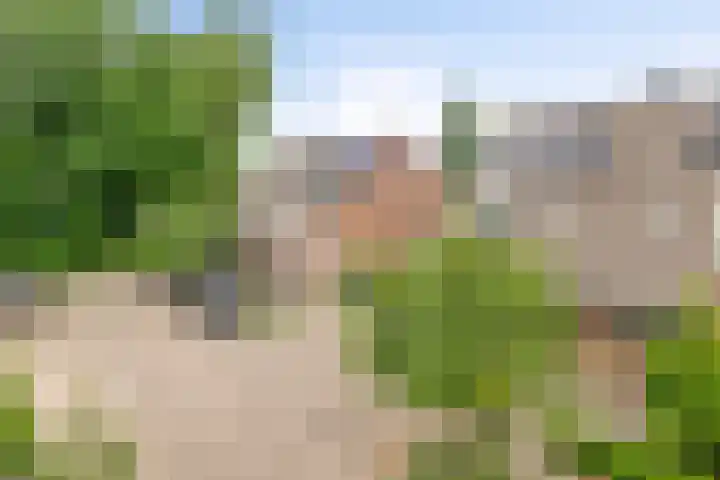 Seitzenhof 4 Nuenen thumbnail 25